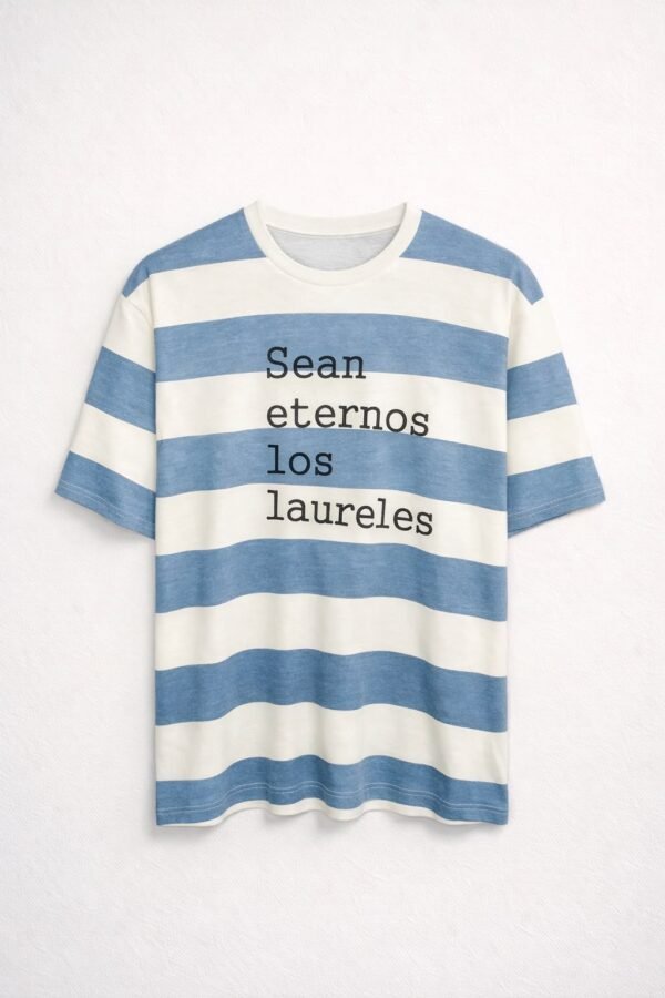 Remera Basica Over Argentina